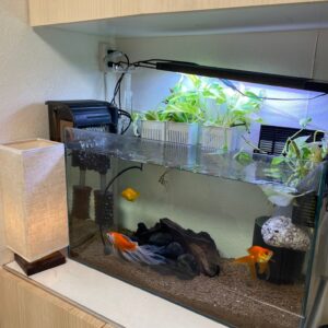 玄関の水槽まわりをDIYで大改造！下駄箱の扉交換とコンセント・配線の整理