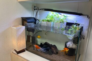 玄関の水槽まわりをDIYで大改造！下駄箱の扉交換とコンセント・配線の整理