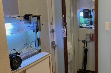 玄関の水槽上に収納棚をDIY！コンクリート壁に吊り戸棚を設置